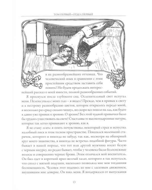 Житейские воззрения кота Мурра