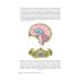 Руководство для врачей Судебная невропатология. Черепно-мозговая и спинальная травмы: руководство для врачей