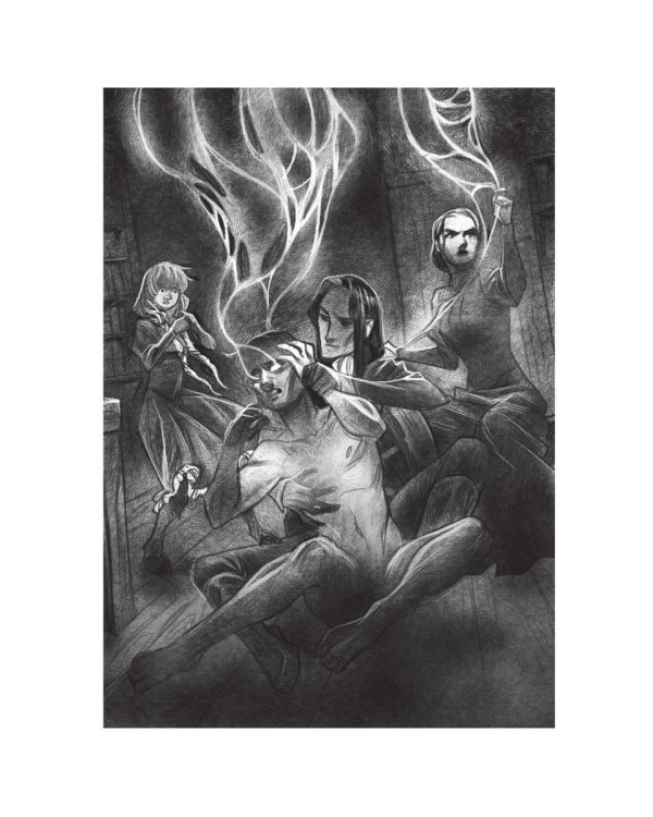 Тимьян и клевер