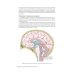 Руководство для врачей Судебная невропатология. Черепно-мозговая и спинальная травмы: руководство для врачей