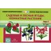 Картотека предметных картинок. Вып. 6. Садовые и лесные ягоды. Комнатные растения. 3-7 лет