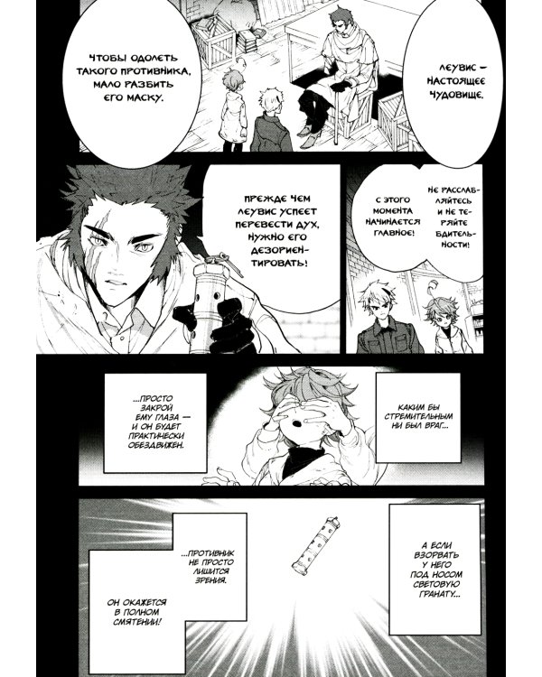 Обещанная страна грёз. Книга 6