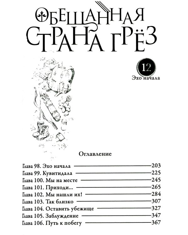 Обещанная страна грёз. Книга 6