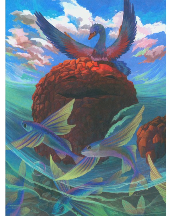 Здравствуй, остров