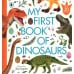 My First Book of Dinosaurs