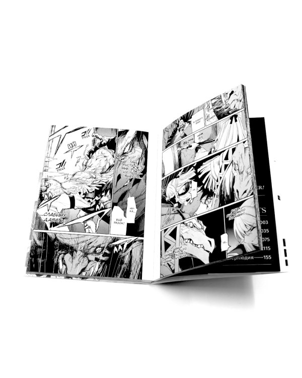 Убийца гоблинов. Т. 6-10: манга (комплект из 5-ти книг)