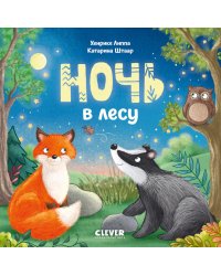 Ночь в лесу