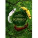 Волибор