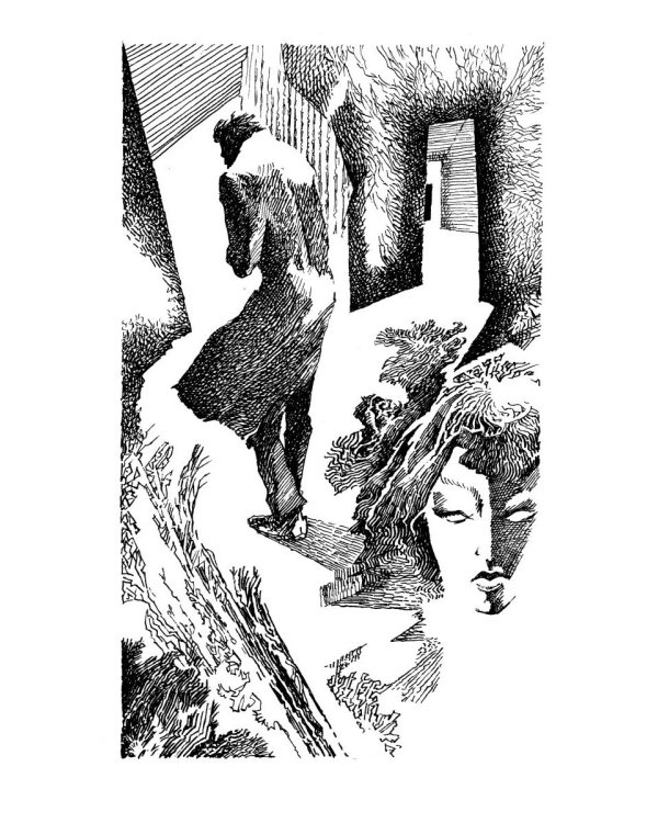 Под небом Северной Пальмиры: Чем прекраснее здание, тем красивее рутины: роман