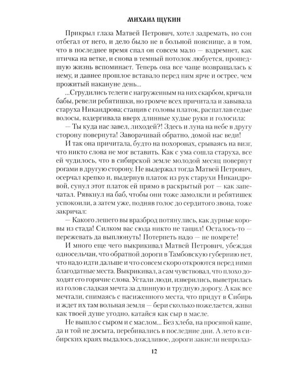 Покров Заступницы: роман, повести