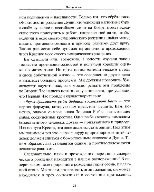 Нуктемерон Аполлония Тианского с объяснениями Яна ван Рэйкенборга