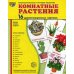 Демонстрационные картинки. Комнатные растения: 16 демонстрационных картинок с текстом