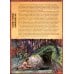 Дополнительное изображение книги «12 подвигов Геракла. Энциклопедия с окошками»