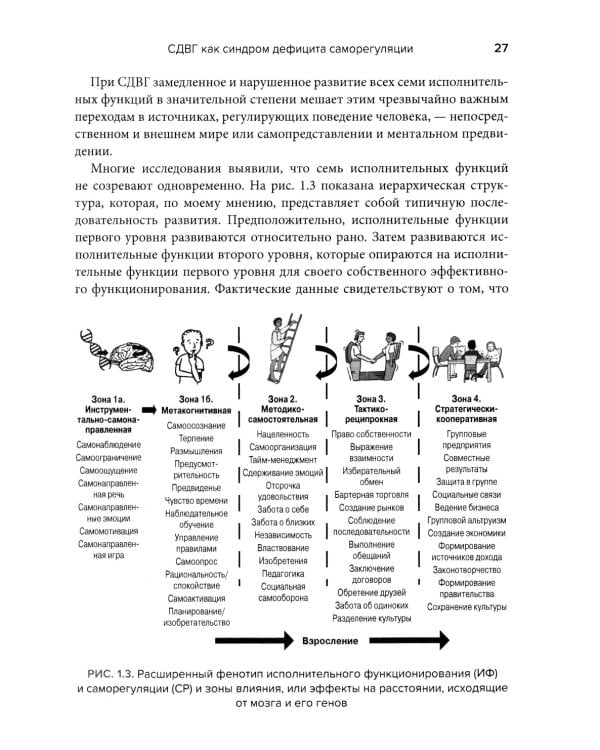 Лечение СДВГ у детей и подростков: что должен знать каждый терапевт