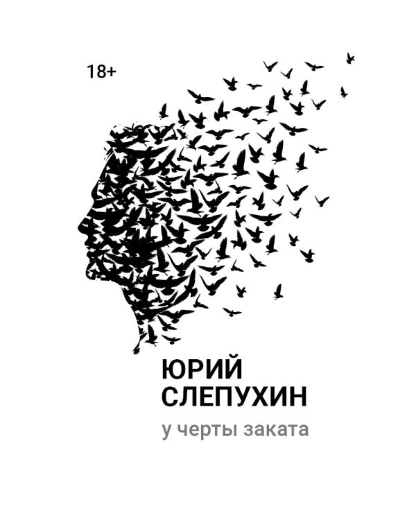 У черты заката: роман