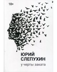 У черты заката: роман