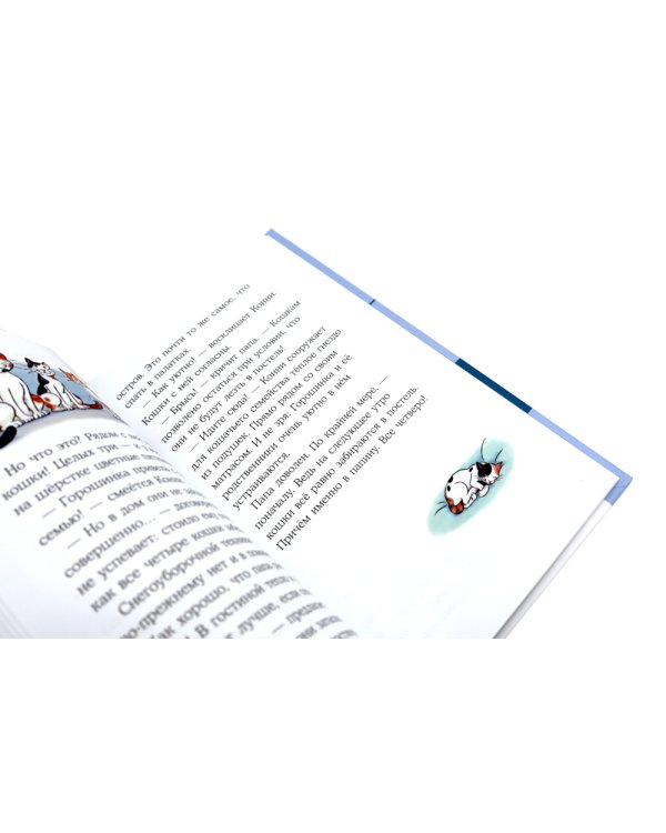 Приключения Конни на зимних каникулах; Конни и Рождество (комплект из 2-х книг)