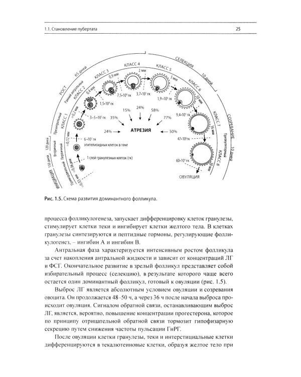 Эндокринная гинекология: избранные семинары. 2-е изд., испр. и доп