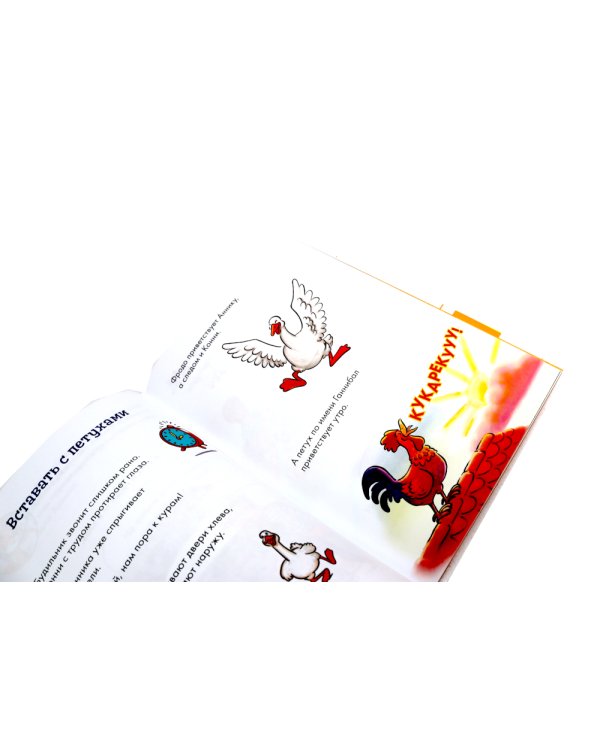 Комиксы с Конни. Новичок на конюшне; Приключения на ферме (комплект из 2-х книг)