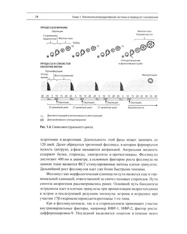 Эндокринная гинекология: избранные семинары. 2-е изд., испр. и доп