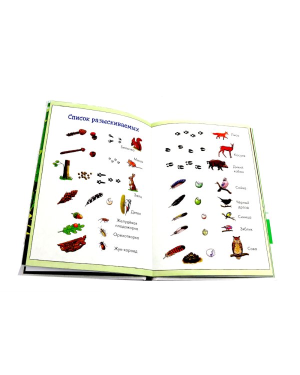 Комиксы с Конни: Дневник гусеницы; Лесные детективы (комплект из 2-х книг)