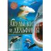 Акулы, киты и дельфины. Популярная детская энциклопедия