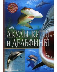 Акулы, киты и дельфины. Популярная детская энциклопедия