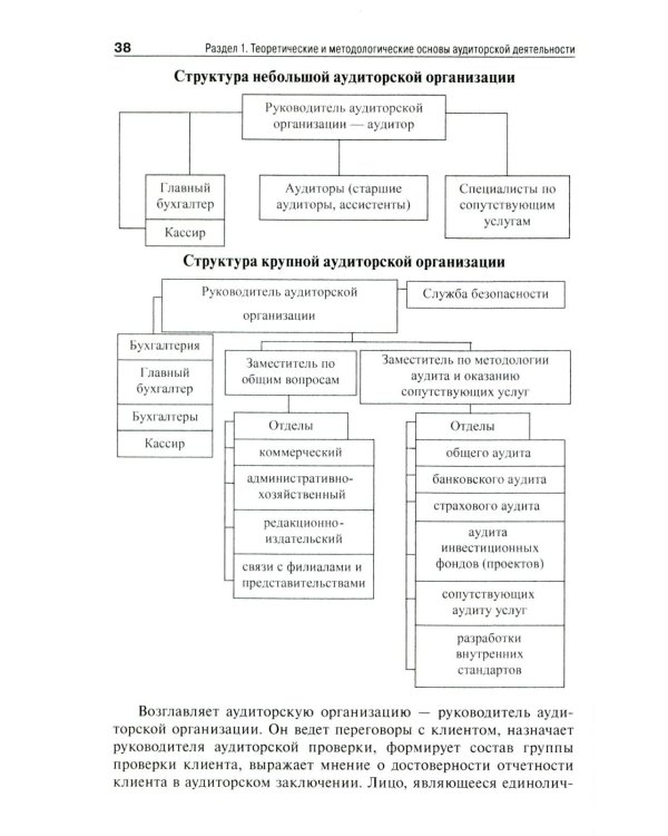 Аудит (схемы, таблицы, комментарии): Учебное пособие