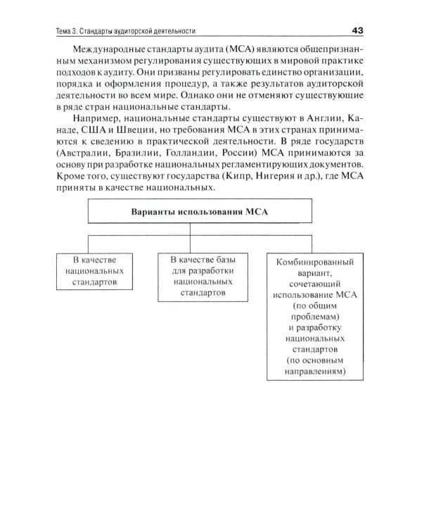 Аудит (схемы, таблицы, комментарии): Учебное пособие