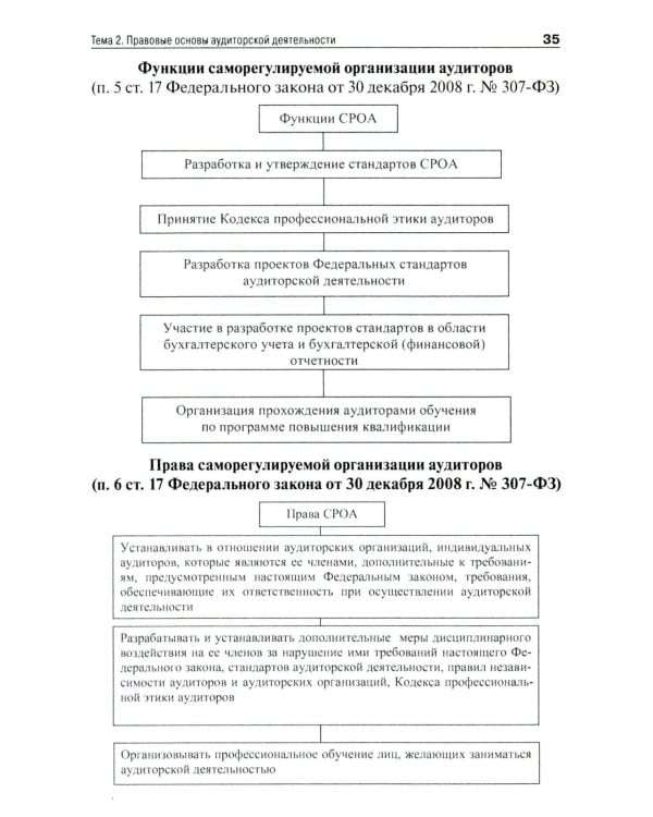 Аудит (схемы, таблицы, комментарии): Учебное пособие