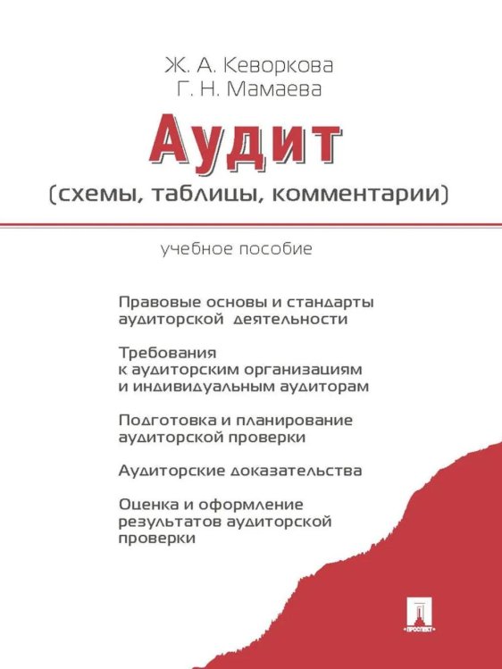Аудит (схемы, таблицы, комментарии): Учебное пособие