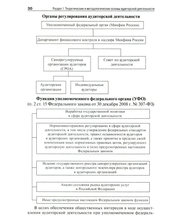 Аудит (схемы, таблицы, комментарии): Учебное пособие