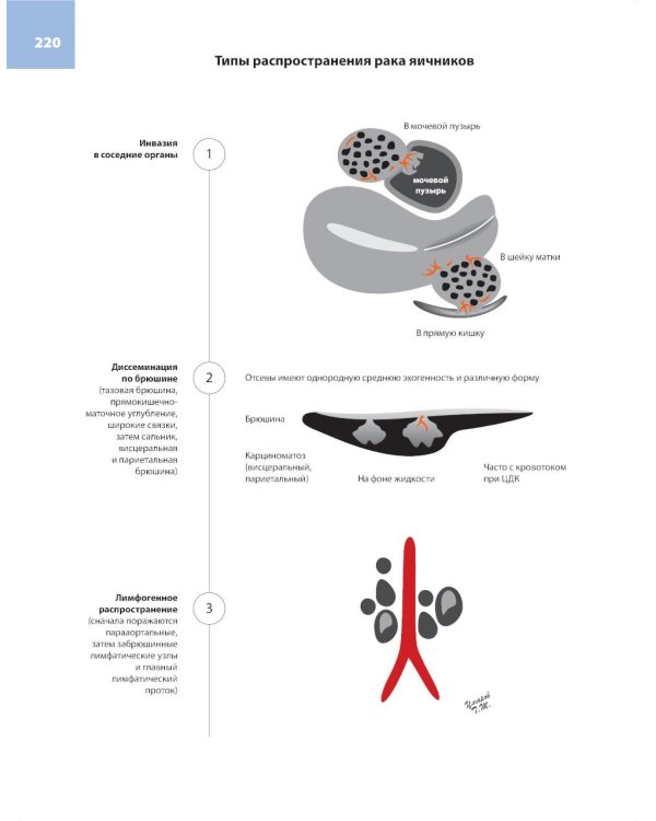 Атлас по ультразвуковой диагностике в гинекологии. 4-е изд