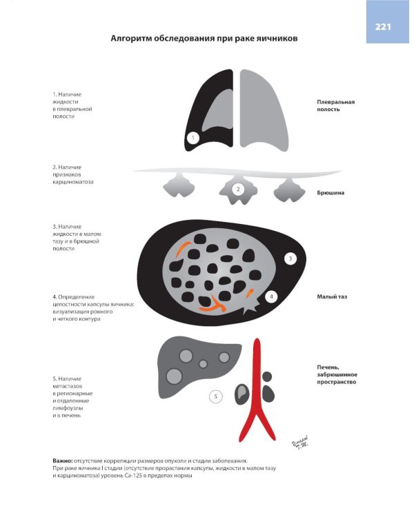 Атлас по ультразвуковой диагностике в гинекологии. 4-е изд
