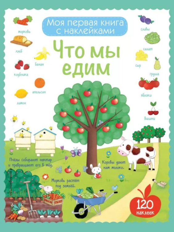 Что мы едим Что мы едим