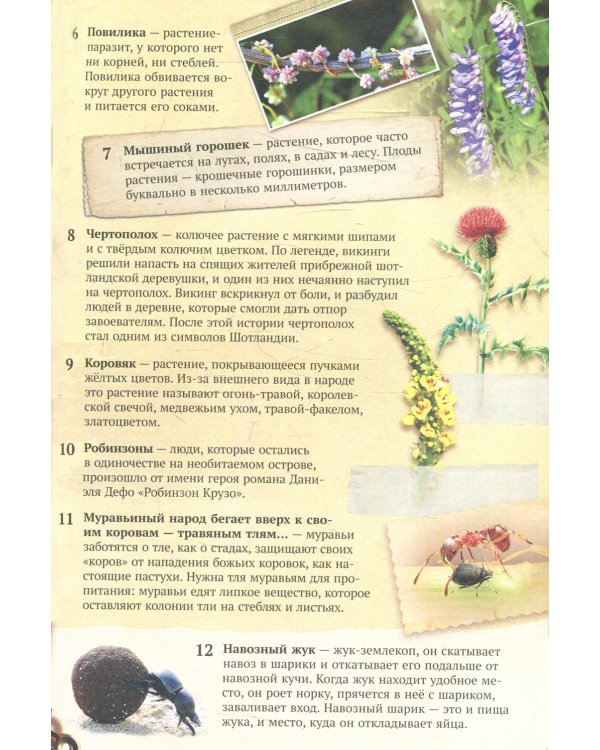 Хрестоматия. 2 кл