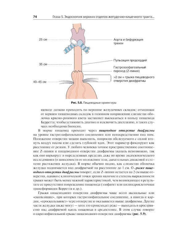 Эндоскопия ЖКТ. Основные техники и методики. Практическое руководство по Коттону и Уильямсу