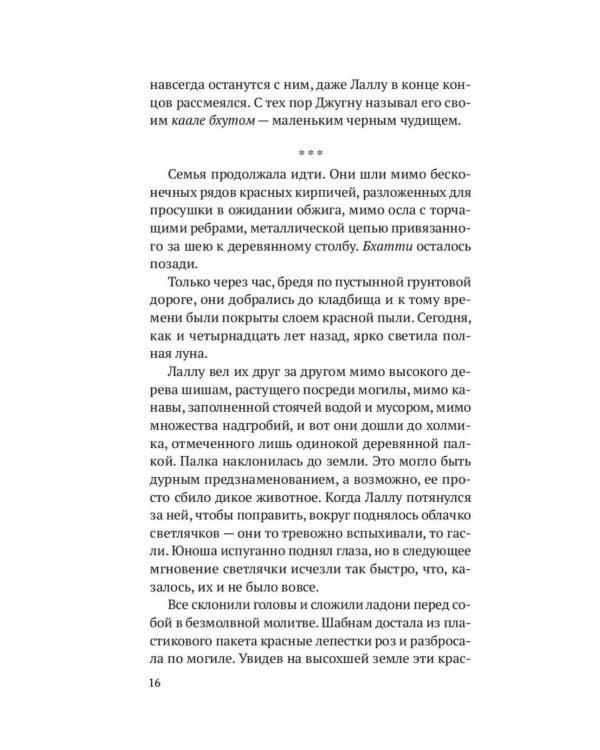 Дополнительное изображение книги «Когда танцуют светлячки: роман»