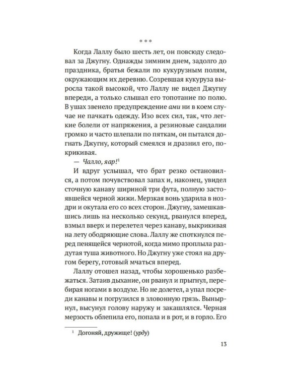 Дополнительное изображение книги «Когда танцуют светлячки: роман»