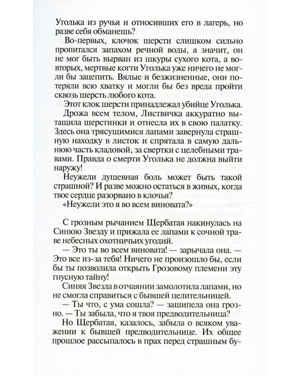 Коты-воители. Восход солнца