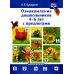 Ознакомление дошкольников 4-6 лет с предлогами. Методическое пособие для работников ДОО и родителей
