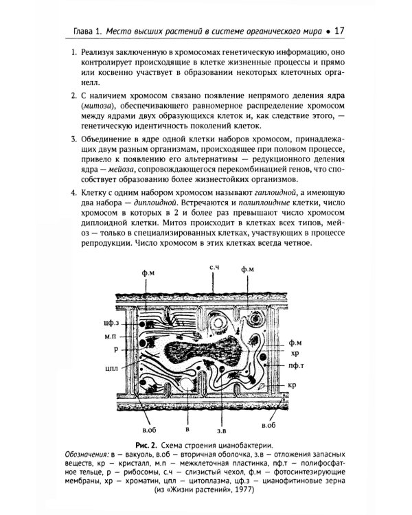 Ботаника: Морфология и анатомия высших растений: Учебник