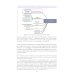 Международная безопасность в эпоху искусственного интеллекта. В 2 т. Т. 1: Учебник для вузов