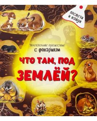 Что там под Землей. Увлекательное путешествие с фонариком