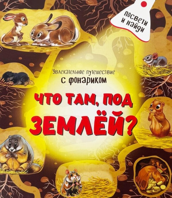 Обложка книги «Что там под Землей. Увлекательное путешествие с фонариком» — Иванова Оксана, ISBN 9785907664074
