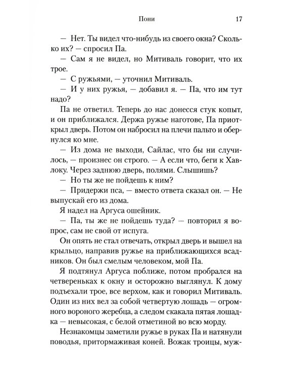 Пони: роман