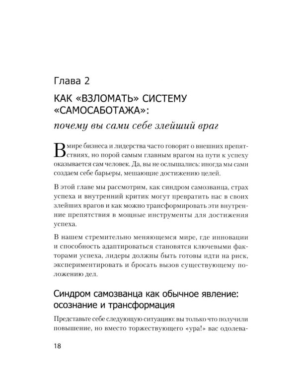 Дополнительное изображение книги «Хаос вместо правил: лидерство как провокация»