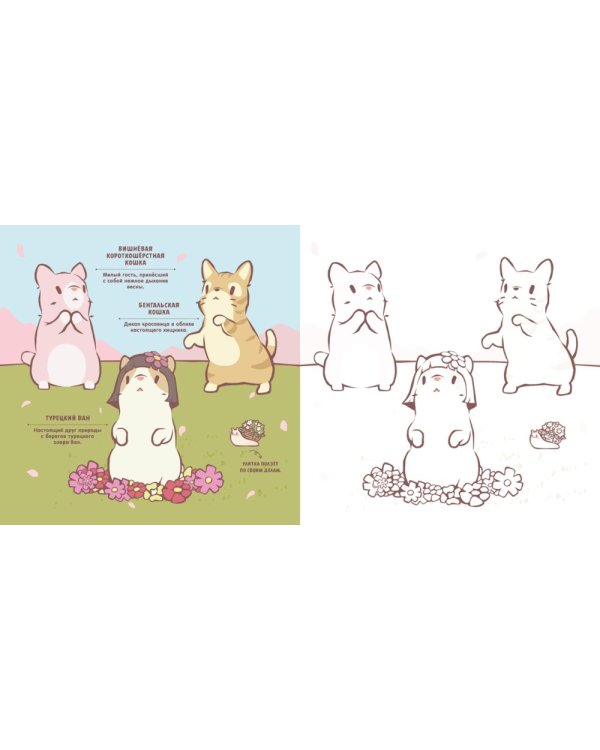 Дополнительное изображение книги «Кошки и суп. Уютная раскраска»