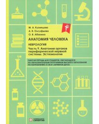Анатомия человека: Неврология. Ч. 9: Анатомия органов периферической нервной системы. Эстезиология: рабочая тетрадь