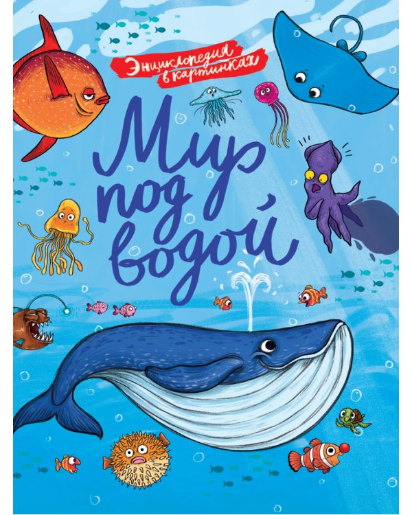 Мир под водой